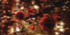 headerimg