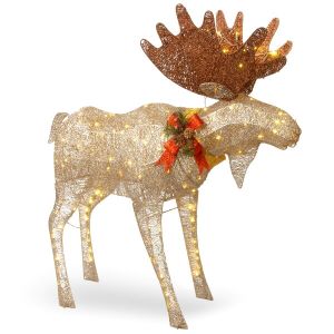 Reindeer