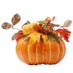 Thanksgiving Pumpkin